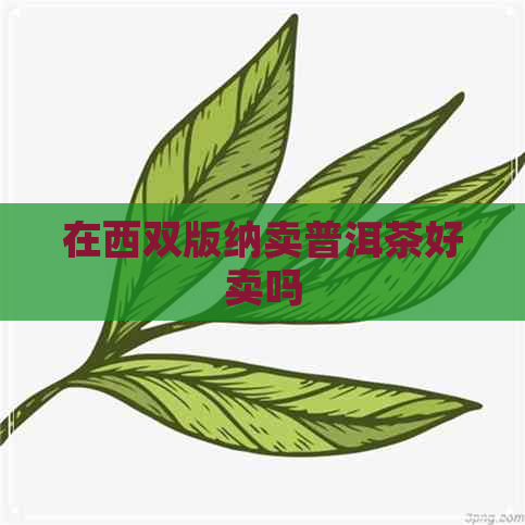 在西双版纳卖普洱茶好卖吗