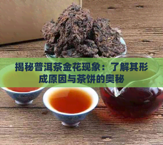 揭秘普洱茶金花现象：了解其形成原因与茶饼的奥秘