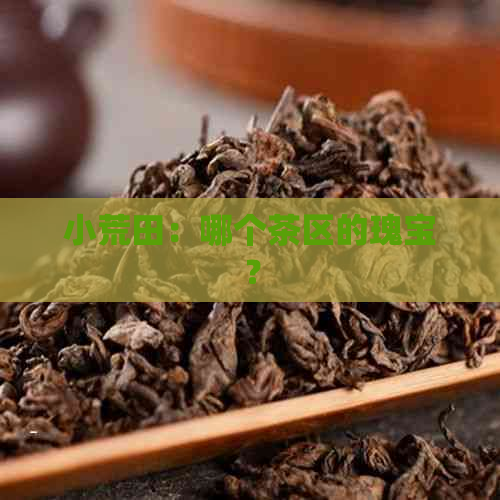 小荒田：哪个茶区的瑰宝？