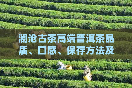 澜沧古茶高端普洱茶品质、口感、保存方法及选购指南，一篇全面解析