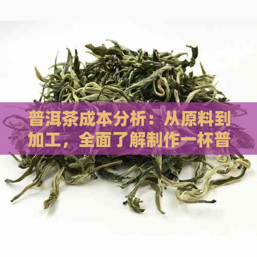 普洱茶成本分析：从原料到加工，全面了解制作一杯普洱茶的费用结构