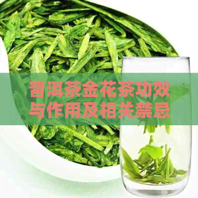 普洱茶金花茶功效与作用及相关禁忌