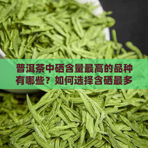 普洱茶中硒含量更高的品种有哪些？如何选择含硒最多的普洱茶？