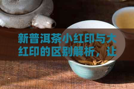 新普洱茶小红印与大红印的区别解析，让你轻松辨别两者特点