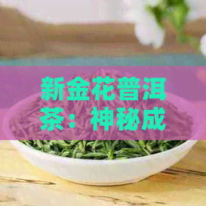 新金花普洱茶：神秘成分还是隐藏的口感黑马？能否放心饮用？