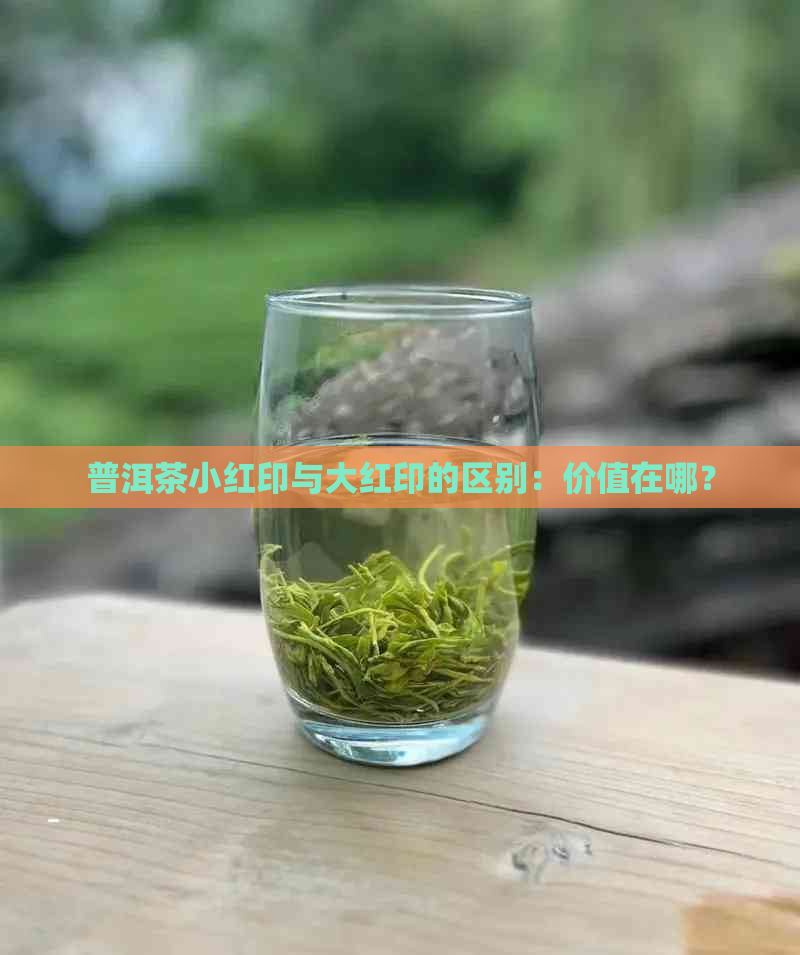 普洱茶小红印与大红印的区别：价值在哪？