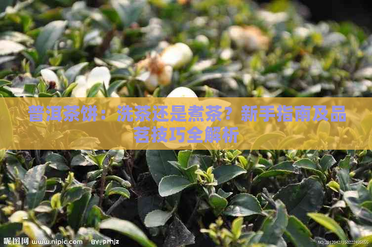 普洱茶饼：洗茶还是煮茶？新手指南及品茗技巧全解析