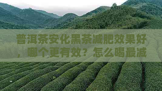 普洱茶安化黑茶减肥效果好，哪个更有效？怎么喝最减肥？