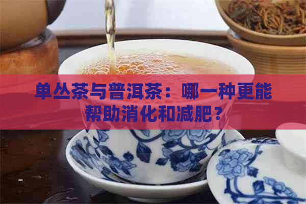 单丛茶与普洱茶：哪一种更能帮助消化和减肥？