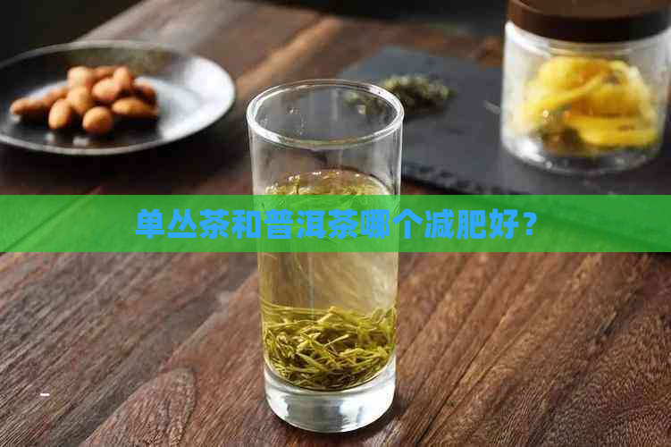 单丛茶和普洱茶哪个减肥好？