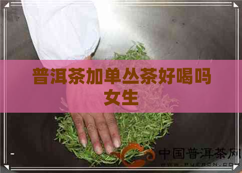 普洱茶加单丛茶好喝吗女生