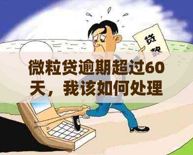 微粒贷逾期超过60天，我该如何处理？逾期后果、解决方案及建议全解析！