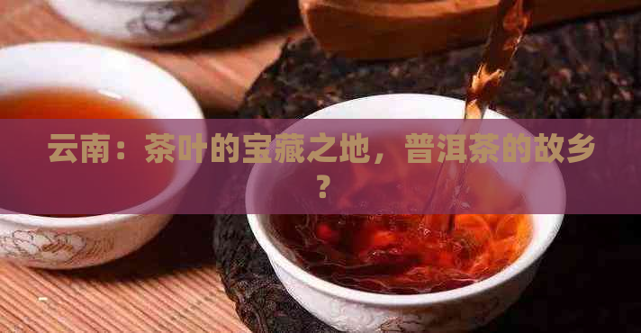 云南：茶叶的宝藏之地，普洱茶的故乡？