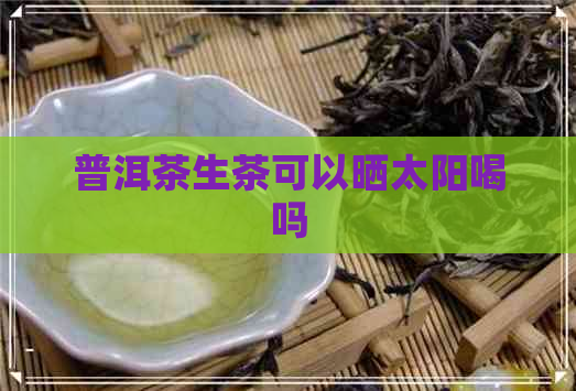 普洱茶生茶可以晒太阳喝吗