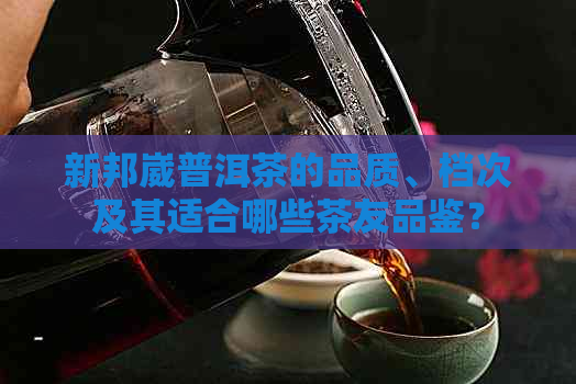 新邦崴普洱茶的品质、档次及其适合哪些茶友品鉴？