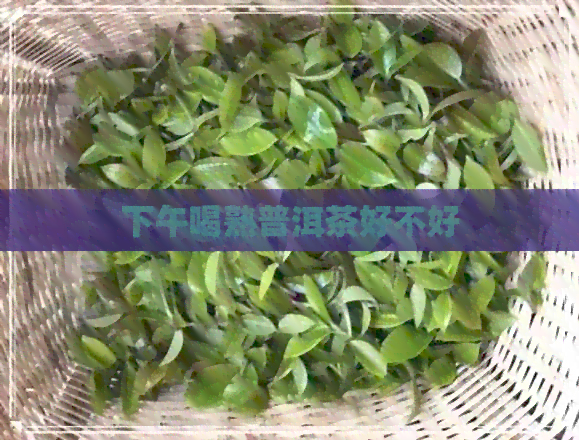 下午喝熟普洱茶好不好