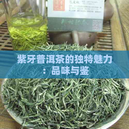 紫牙普洱茶的独特魅力：品味与鉴