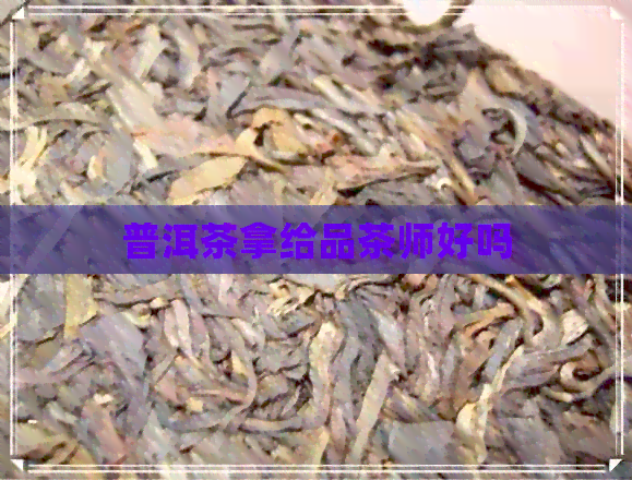 普洱茶拿给品茶师好吗