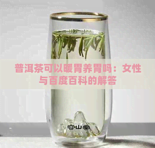 普洱茶可以暖胃养胃吗：女性与百度百科的解答