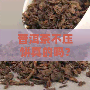 普洱茶不压饼真的吗？能喝吗？转化怎么样？有不压成饼的吗？