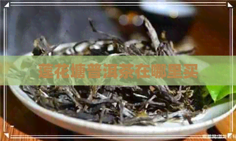 莲花塘普洱茶在哪里买