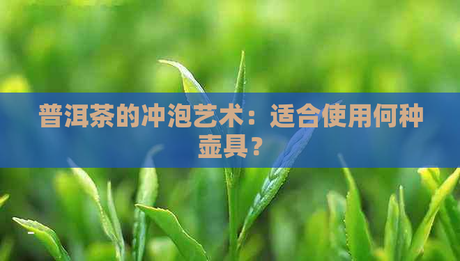 普洱茶的冲泡艺术：适合使用何种壶具？