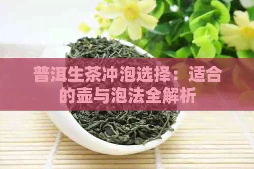 普洱生茶冲泡选择：适合的壶与泡法全解析