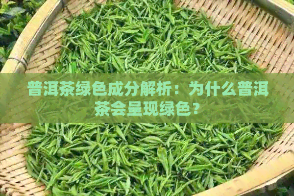 普洱茶绿色成分解析：为什么普洱茶会呈现绿色？