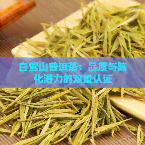 白莺山普洱茶：品质与陈化潜力的双重认证