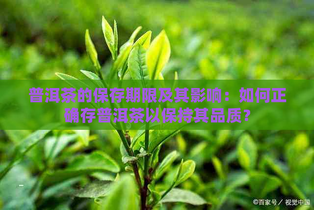 普洱茶的保存期限及其影响：如何正确存普洱茶以保持其品质？