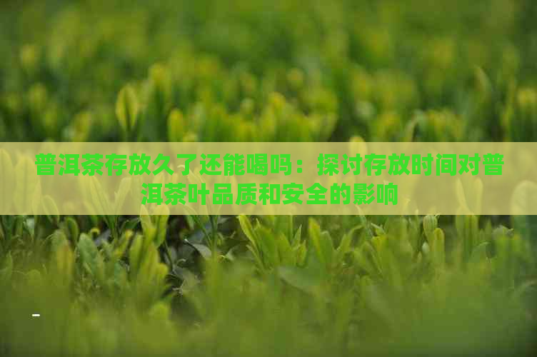 普洱茶存放久了还能喝吗：探讨存放时间对普洱茶叶品质和安全的影响