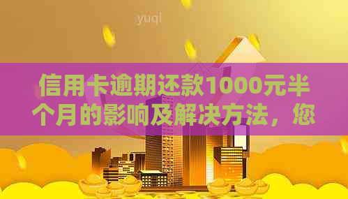 信用卡逾期还款1000元半个月的影响及解决方法，您想知道的都在这里！