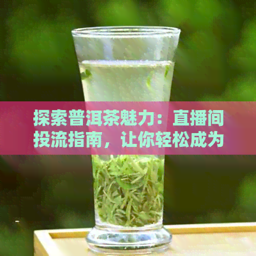 探索普洱茶魅力：直播间投流指南，让你轻松成为茶文化达人