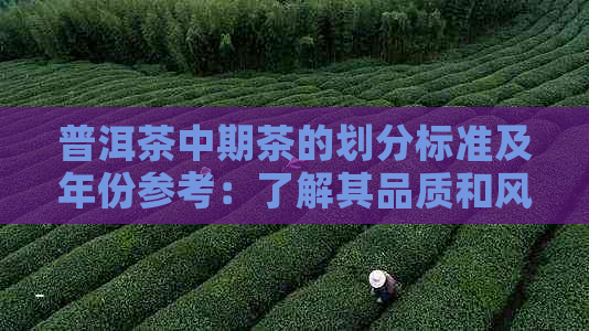 普洱茶中期茶的划分标准及年份参考：了解其品质和风味的关键时期