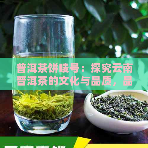 普洱茶饼唛号：探究云南普洱茶的文化与品质，品味古树茶的独特韵味