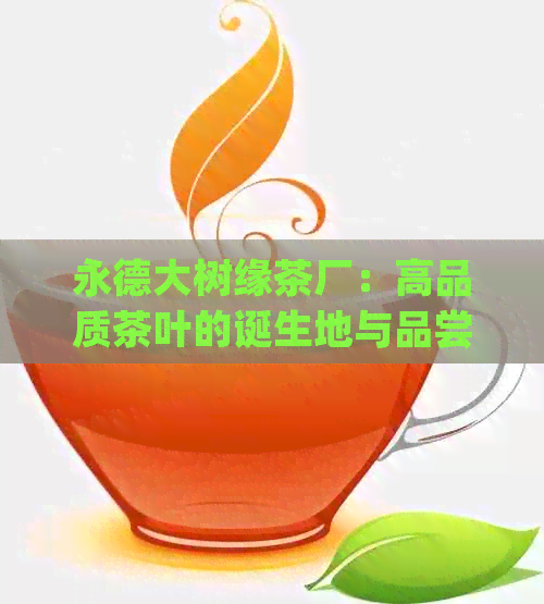 永德大树缘茶厂：高品质茶叶的诞生地与品尝体验详解