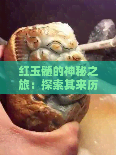 红玉髓的神秘之旅：探索其来历与分类