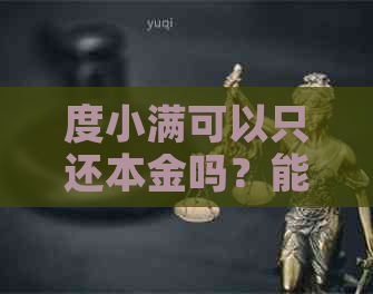 度小满可以只还本金吗？能否部分还款？