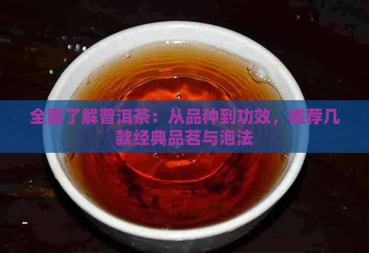 全面了解普洱茶：从品种到功效，推荐几款经典品茗与泡法