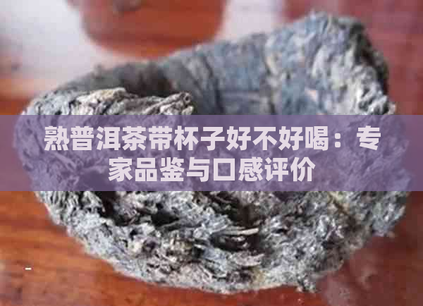 熟普洱茶带杯子好不好喝：专家品鉴与口感评价