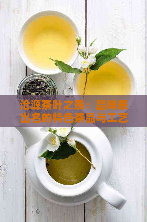 沧源茶叶之最：品味最出名的特色茶品与工艺