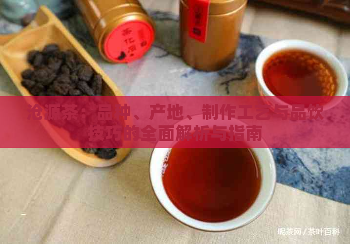 沧源茶：品种、产地、制作工艺与品饮技巧的全面解析与指南