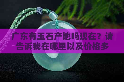 广东有玉石产地吗现在？请告诉我在哪里以及价格多少。