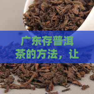 广东存普洱茶的方法，让普洱茶保持品质和口感的技巧