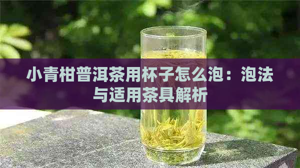 小青柑普洱茶用杯子怎么泡：泡法与适用茶具解析