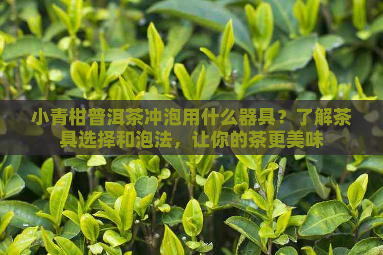 小青柑普洱茶冲泡用什么器具？了解茶具选择和泡法，让你的茶更美味