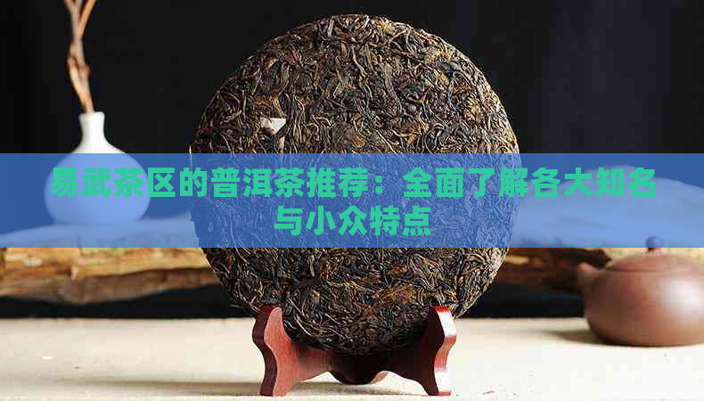 易武茶区的普洱茶推荐：全面了解各大知名与小众特点