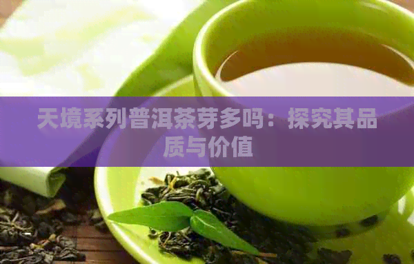 天境系列普洱茶芽多吗：探究其品质与价值