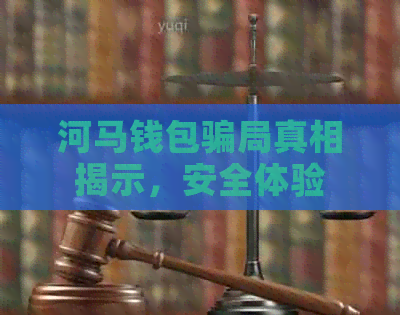 河马钱包骗局真相揭示，安全体验