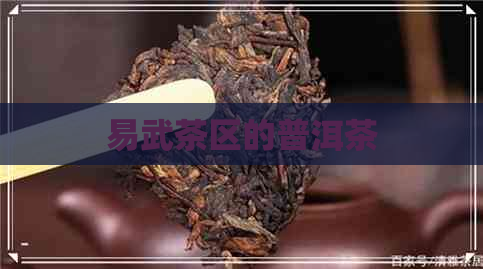 易武茶区的普洱茶